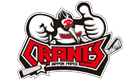 logo_team_cranes.gif