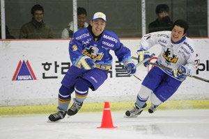 20110322_halla_03.jpg